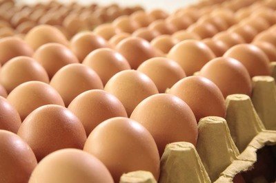 迪庆自治州鸡蛋检测价格,鸡蛋检测机构,鸡蛋检测项目,鸡蛋常规检测